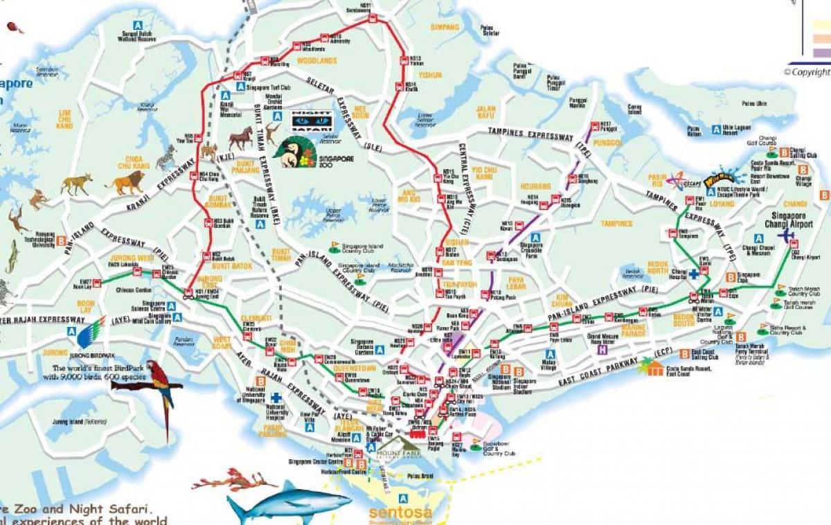 οδικός χάρτης της Σιγκαπούρης